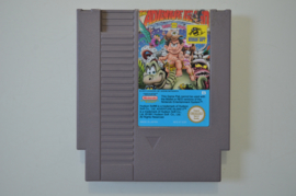 NES Adventure Island Part II