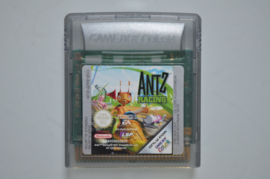 GBC Antz Racing