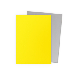 Dragon Shield Dual Yellow & Silver Sleeves Standard Size (100) [Nieuw]