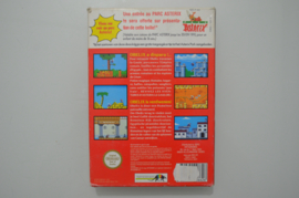 NES Asterix [Compleet]