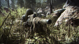 Ps4 Call of Duty Modern Warfare [Gebruikt]