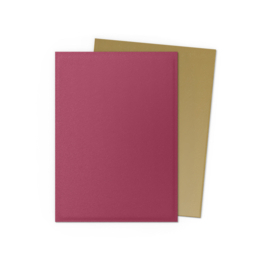 Dragon Shield Matte Dual Pomegranate & Gold Sleeves Standard Size (100) [Nieuw]