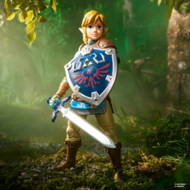 The Legend of Zelda Heroes Of Hyrule Action Figure Link 15 cm - Hasbro [Pre-Order]