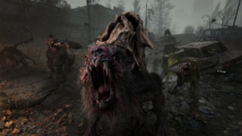 PS5 METRO 2039  [Pre-Order]