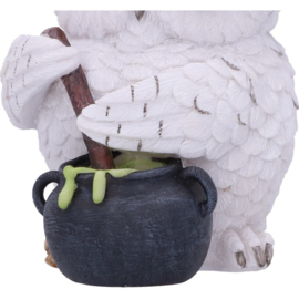 Fantasy Owl Potion 17 cm - Nemesis Now [Nieuw]