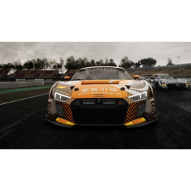 Ps4 Assetto Corsa Competizione [Gebruikt]