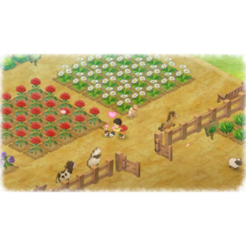 Switch Doraemon Story of Seasons [Gebruikt]