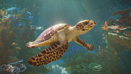 PS5 Planet Zoo 2 [Pre-Order]