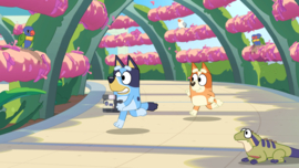 Switch Bluey's Happy Snaps - Day One Deluxe Edition [Pre-Order]