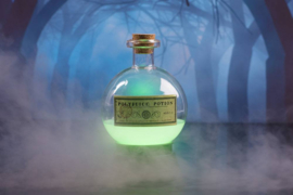 Harry Potter Colour-Changing Mood Lamp Polyjuice Potion 14 cm - Fizz [Nieuw]