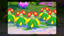 Switch New Pokemon Snap [Gebruikt]