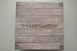 Ps4 The Last Guardian Collector's Edition [Compleet]