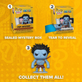 One Piece Funko Pop Mystery (Blind Box) [Nieuw]