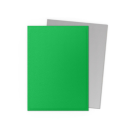 Dragon Shield Matte Dual Apple Green & Silver Sleeves Standard Size (100) [Nieuw]