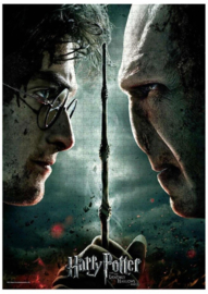 Harry Potter Puzzle Harry vs Voldemort (1000 Stukjes) - SD Toys [Nieuw]