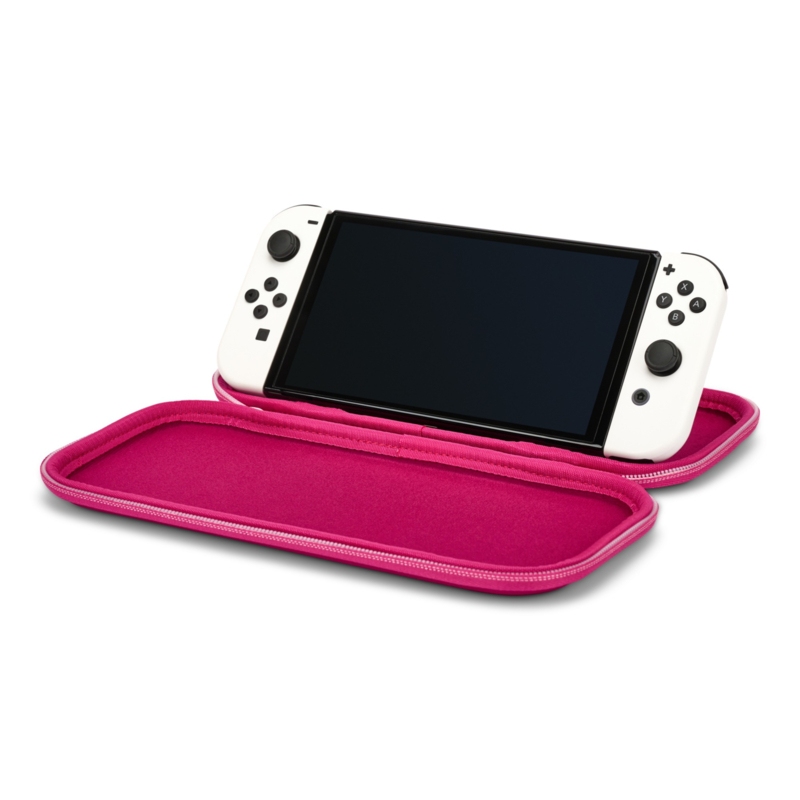 Charizard nintendo best sale switch case