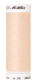 1451 Pumice Stone