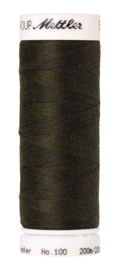 0663 Fir Forest