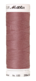 0284 Teaberry