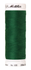 0247 Swiss Ivy