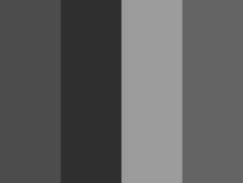 Quilt stoffen Grijs-zwart-wit  1317 - 1411 A
