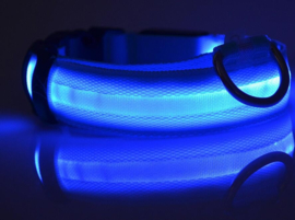 Halsband met Led Blauw Medium- 40-48 cm