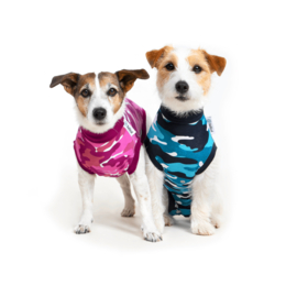 Operatie pakje hond -Suitical Recovery Suit voor Honden Camouflage Blauw - Gratis Verzending
