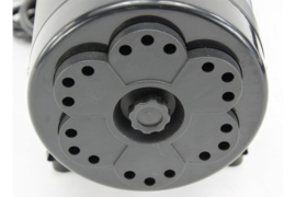 🐶 LTE Waterblazer 2400W voor Honden - Gratis verzending