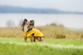 Hondenregenjas RukkaPets Stream Raincoat Geel