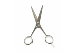 057 Recht schaar 6,5" met scherpe punt - Tritra Basic