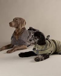 Hondenbadjas Scruffs Expedition Noodle Grijs S t/m XXL