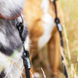 Hondenriem Rebel Petz Adjustable Double Dog Leash - Gratis Verzending