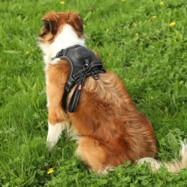 ZOLUX EASYRIDE HONDENTUIG ZWART XS 26-38X33-43 CM