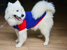 Hondentrui  Superman voor de grote hond  5XL - Ruglengte 55 cm  - In Voorraad