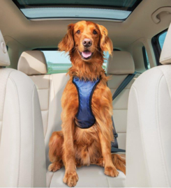 Hondenautogordel  Deluxe Safety Harness Petsafe - Gratis Verzending