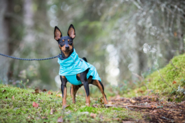 Rukka Regenjas Hond Hase Blauw 35 cm Large -In voorraad