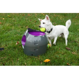Automatic Ball Launcher