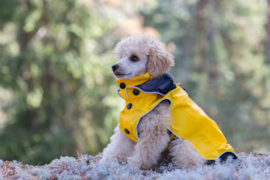 Hondenregenjas RukkaPets Stream Raincoat Geel