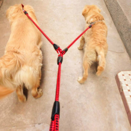 Splitriem voor 2 honden  Blauw met zwart - In voorraad