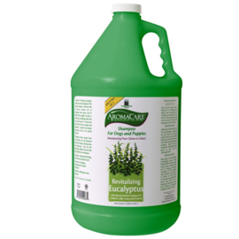 Aromacare Eucalyptus Shampoo 3,8 Ltr - verfrissend