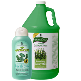 Aromacare Eucalyptus Shampoo 3,8 Ltr - verfrissend