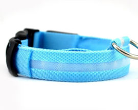Halsband met Led Blauw Medium- 40-48 cm