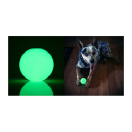 Chuckit Glow in the dark bal Small - In Voorraad