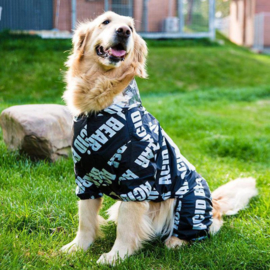 ei Arena registreren Honden Regenpak Cowy - Grote Honden 3XL t/m 8XL | Hondenkleding voor grote  honden | PebbleDogshop