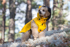 Hondenregenjas RukkaPets Stream Raincoat Geel