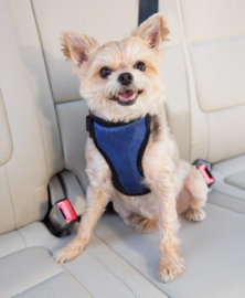 Hondenautogordel  Deluxe Safety Harness Petsafe - Gratis Verzending