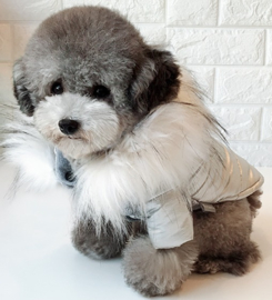 Hondenjas Zilverkleurig Medium - Ruglengte 20 cm - In Voorraad