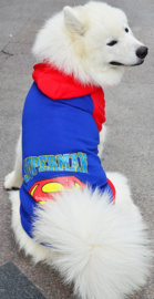 Hondentrui  Superman voor de grote hond  5XL - Ruglengte 55 cm  - In Voorraad