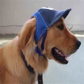 Honden Baseball Pet Blauw - Medium - In Voorraad