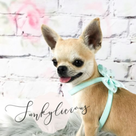 Funkylicious  Hondentuigje BigBow Roze Small- Borstomvang -36-40 cm